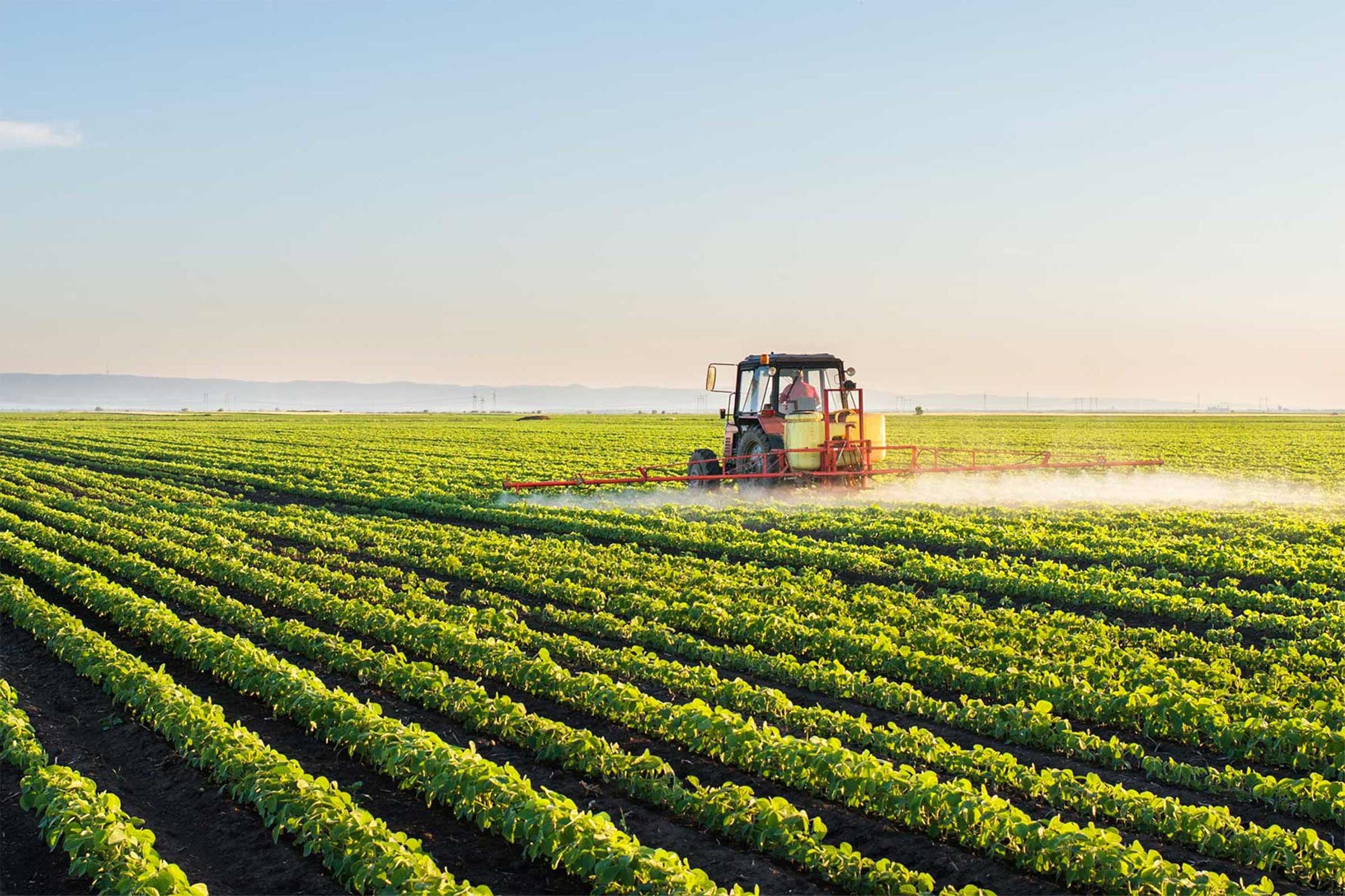 Innscor Africa Investte Mais de 10 milhões de dólares nenhum setor Agrícola