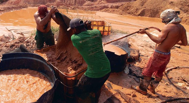 Brasil Sofre Com Conexão Entre Crimes Florestais, Tráfica E Mineração, Diz AgÊncia