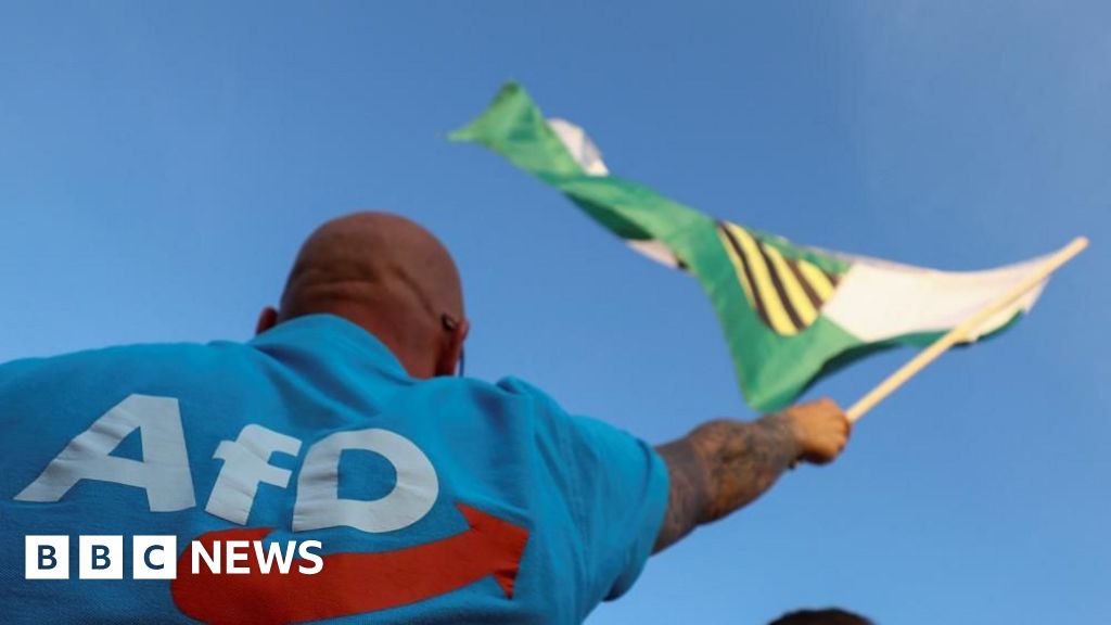 Afd classificado como extremo direito pela inteligência alemã