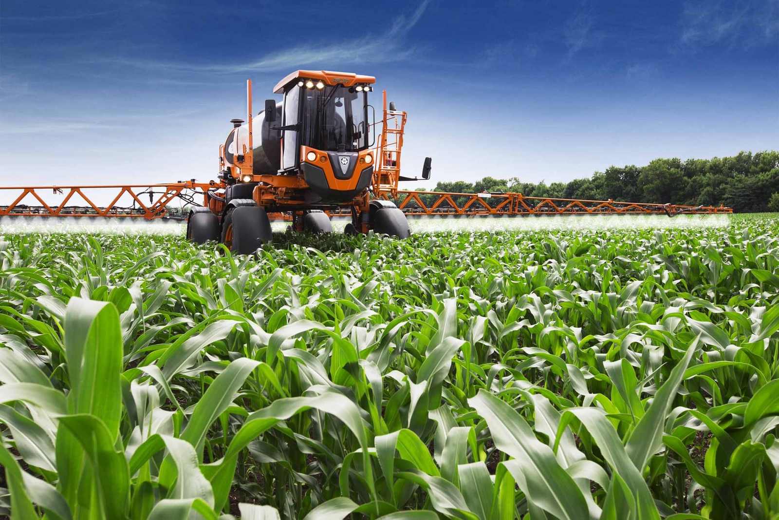 Bad Lança Plano de 180 Milhões de Dólares para Impulsão Agricultura No Leste