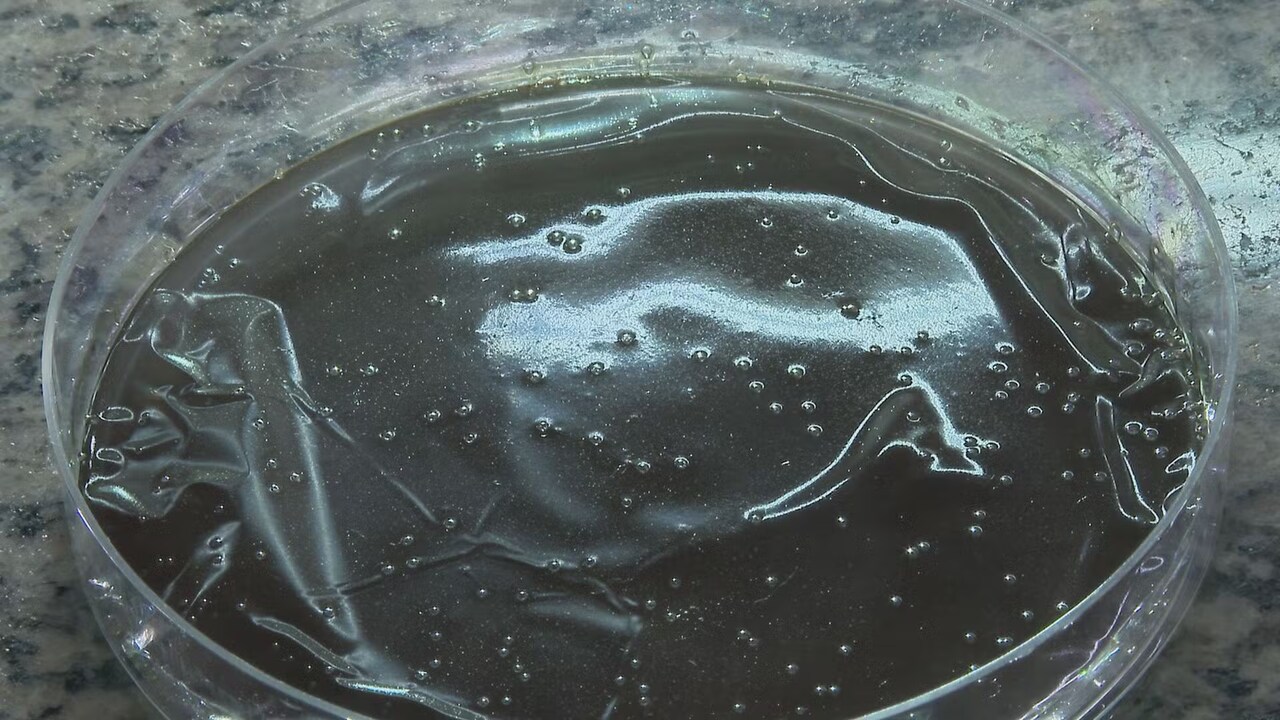 Cientistas Deenvolvem Tinta Antimicrobiana Capaz de Eliminar Bactérires e Vírus Resistentes
