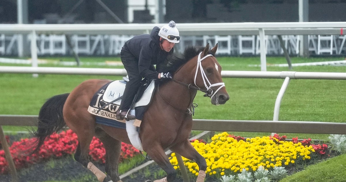 Conheça os cavalos da Preakness Stakes em 2025 Race