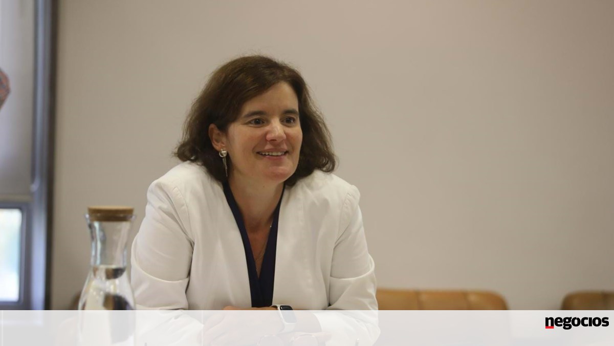Depois de Medina, Mariana Vieira da Silva Afasta Tambema Candidatura à Liderança do PS - Política