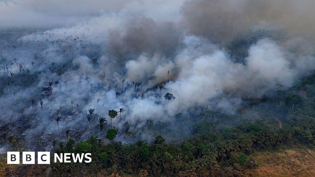 Incêndios causam perda recorde de florestas tropicais em ameaça climática