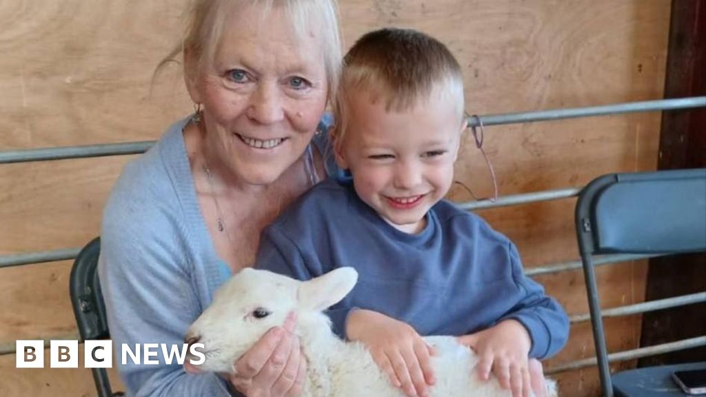 Menino, 4, hospitalizado após a visita à fazenda em Cowbridge