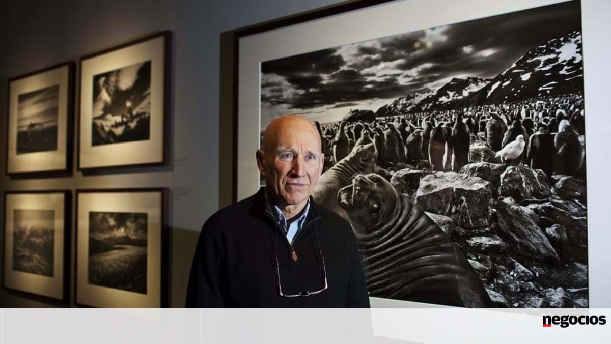 Morreu de Fotojornalista Sebastião Salgado - Economia