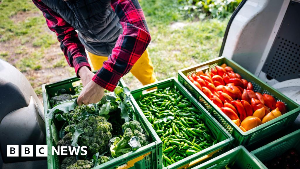 O acordo com a agro-alimentos no acordo do Reino Unido-UE pode reduzir o impacto na fronteira do mar