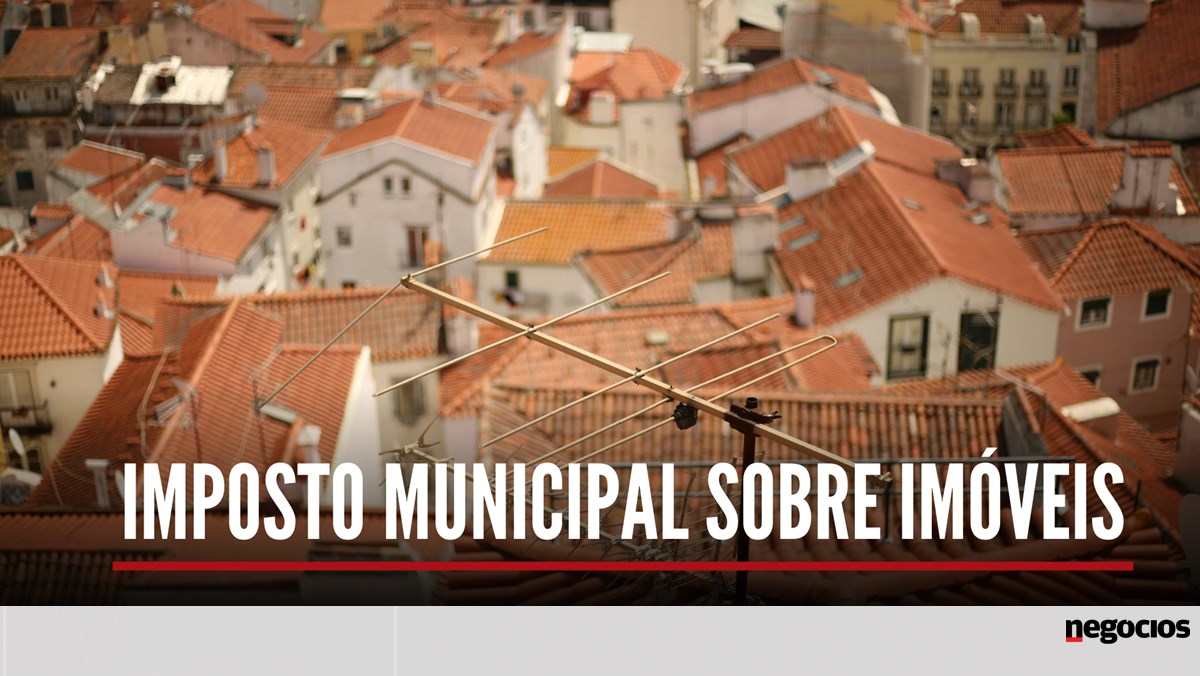O imi em sete perguntas e respostas