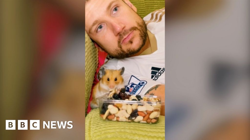 'Pipoca o hamster jogou Cupido para me ajudar a encontrar o amor'