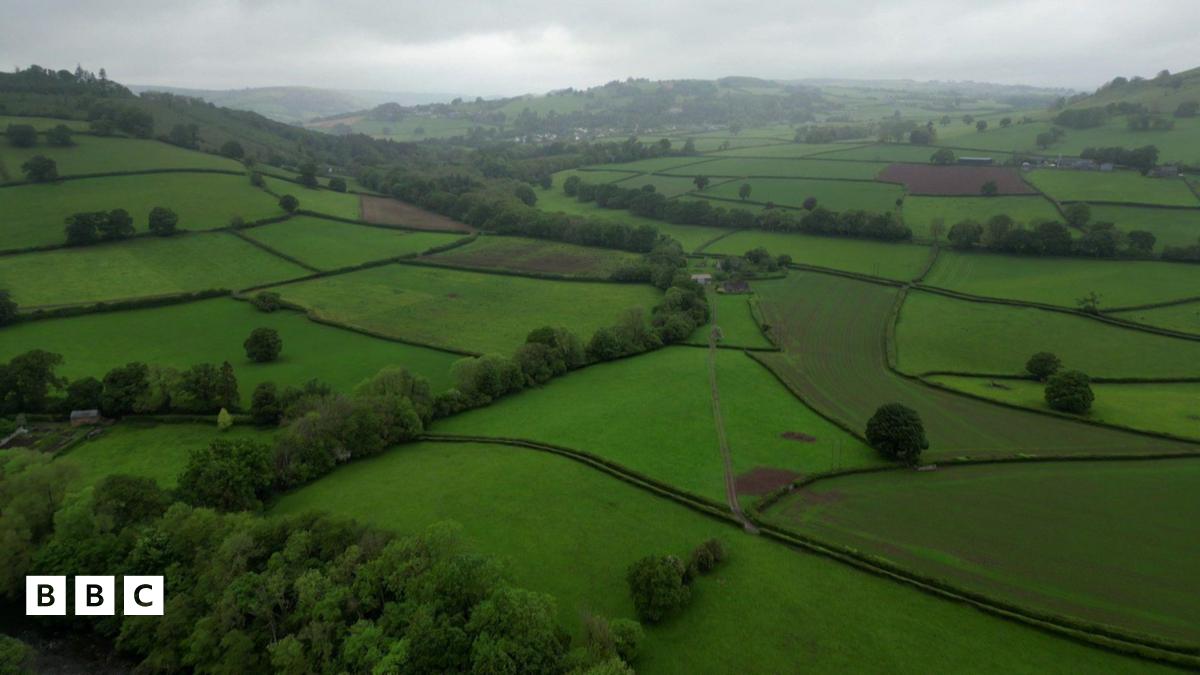 Powys