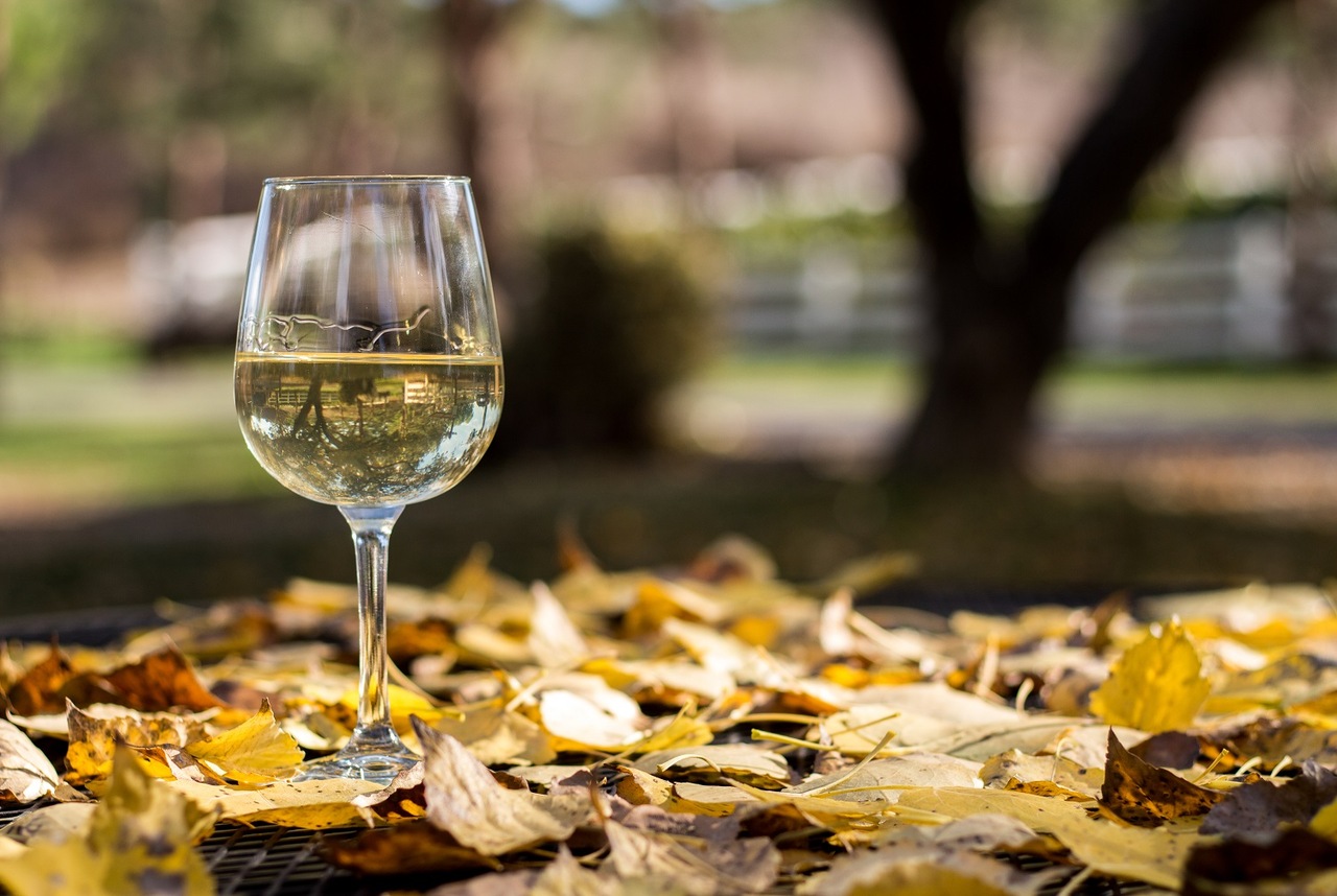 Sauvignon Blanc: Frescura, aroma e versatilidade