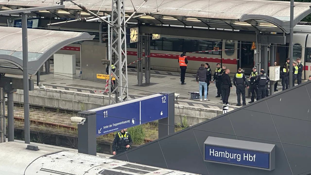 "Um Herói". REFUGIADO SÉRIO IMOBILIZOU Suspeita de Ataque Em Hamburgo