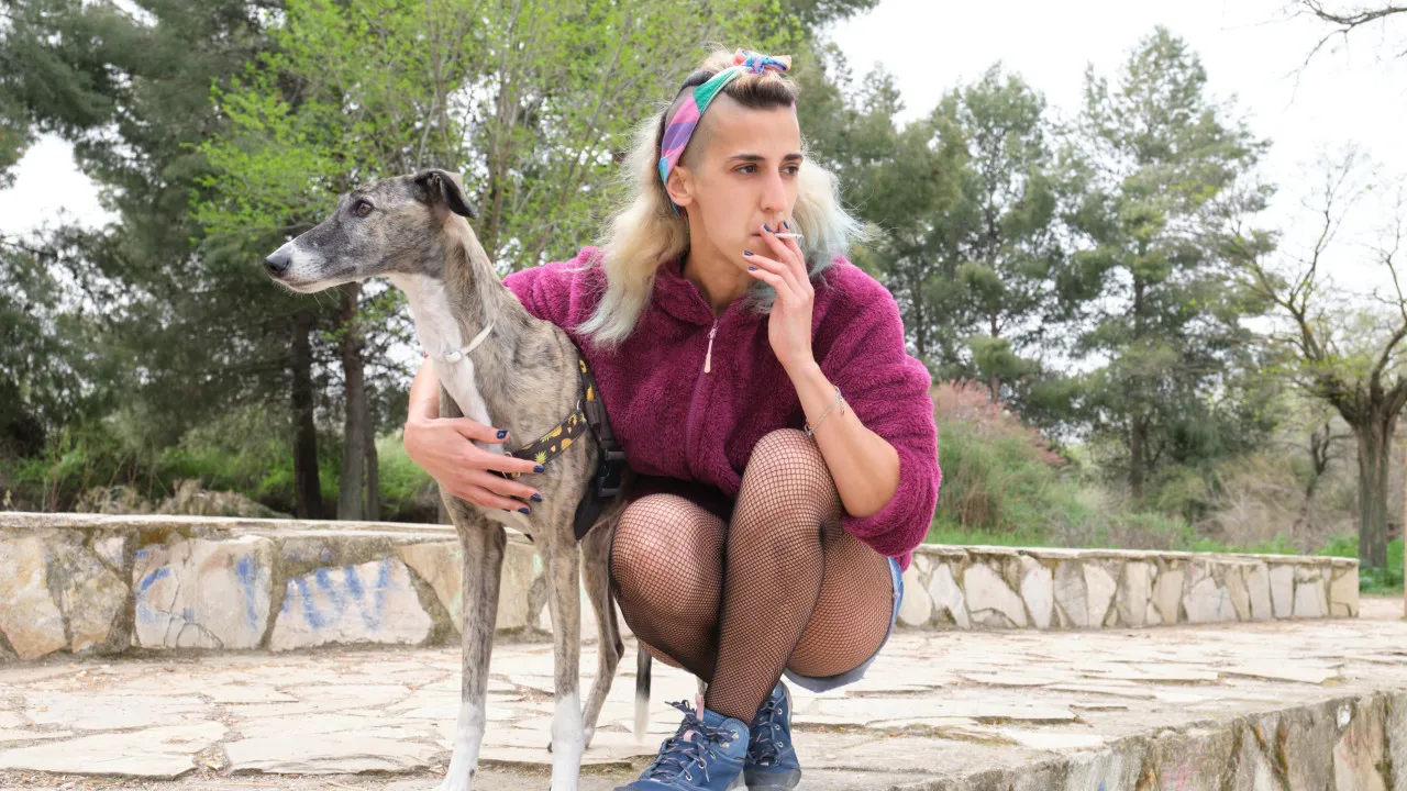 Vítimas silenciosas. Como fumo dos cigarros cigarros pode afeter o Seu patudo