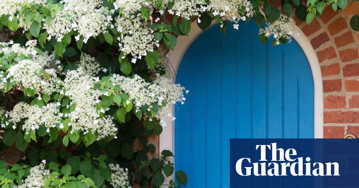 10 das melhores plantas de escalada para o seu jardim, da madressilva a ervilha -doce | Jardins