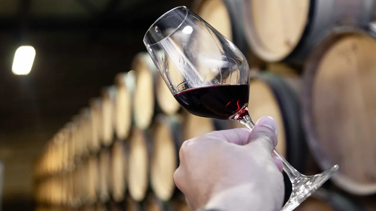 Adiada para 18 de julho decisão sobre produção de vinho do Porto em 2025