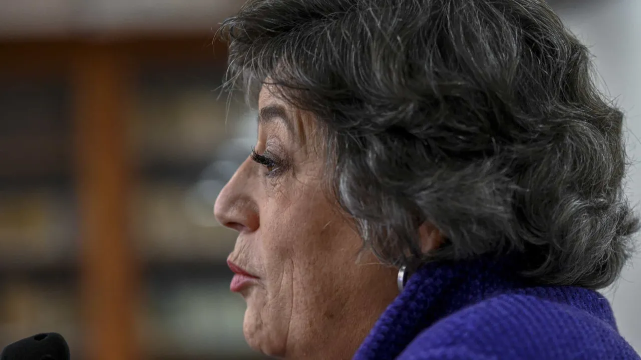 Ana Gomes Defende apoio do ps a seguro: "federar escerda e democratas"