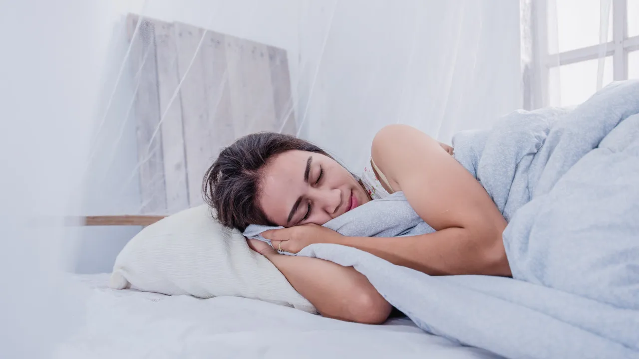 Como Livre Das Melgas No Quarto de Uma Vez por Todas