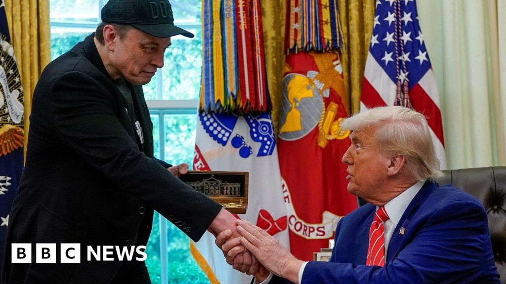 Como Trump e Musk estão entrelaçados, apesar de cair