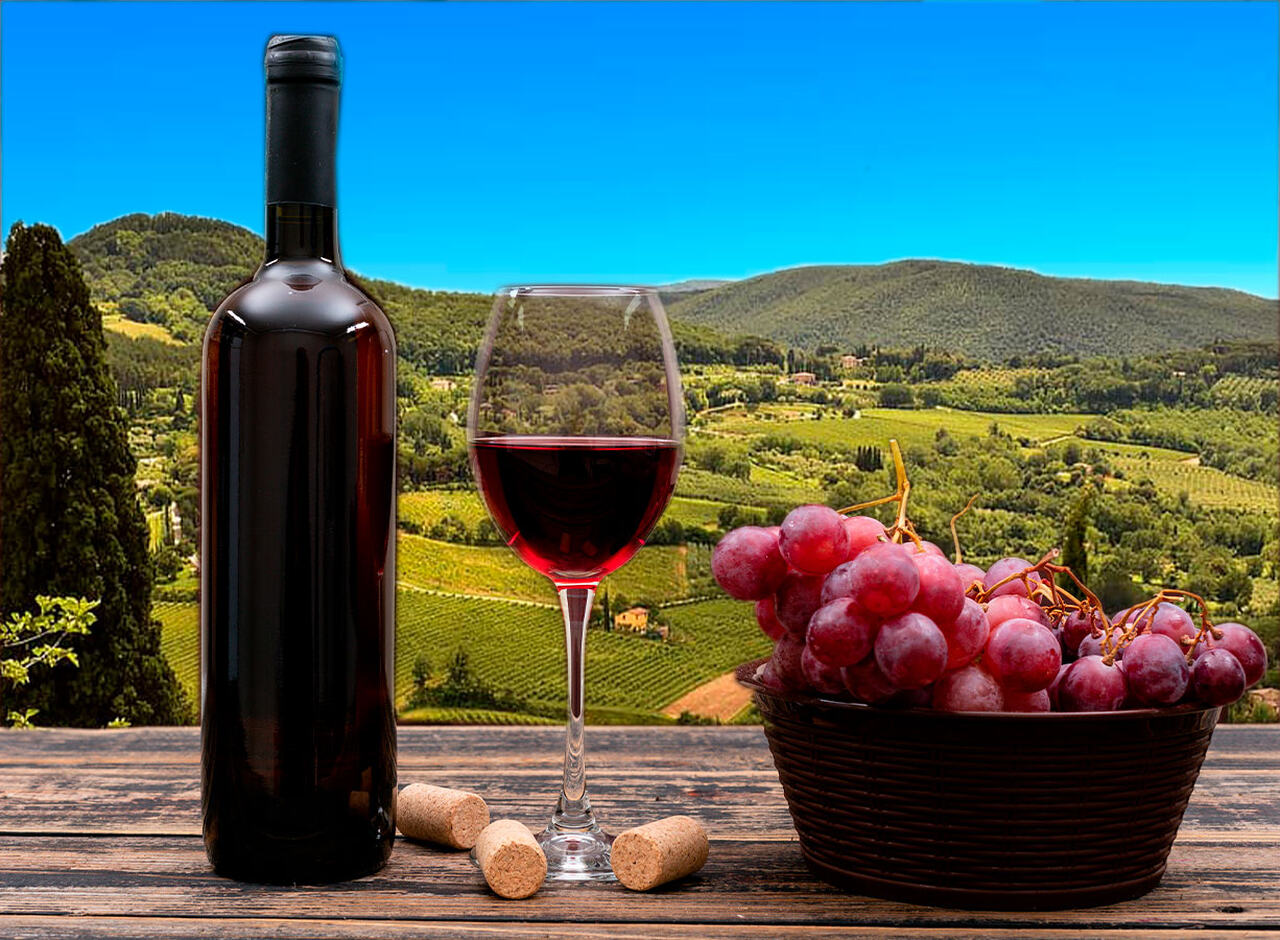 Conheça como castas típicas e os estilos de vinho