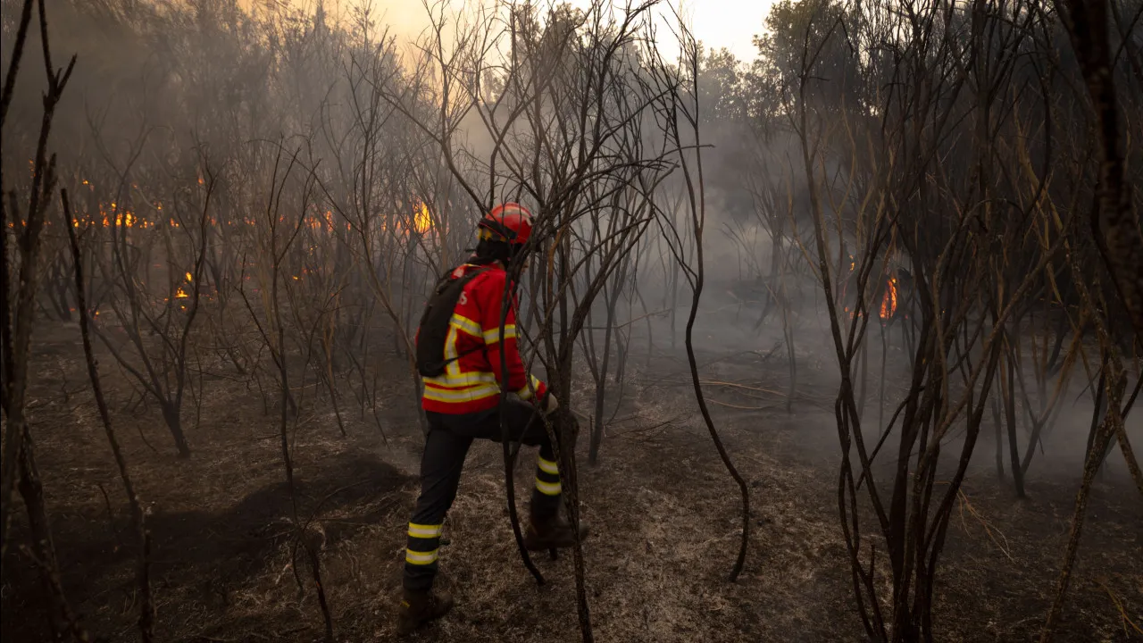 Dominado Fogo Florestal No Concelho de Avis