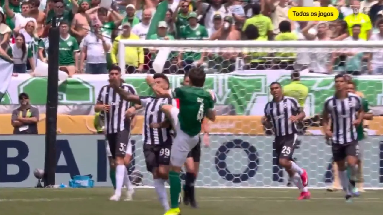 Este (Duro) Choque InterRompeu Momentoneaento de Palmeiras-Botafogo
