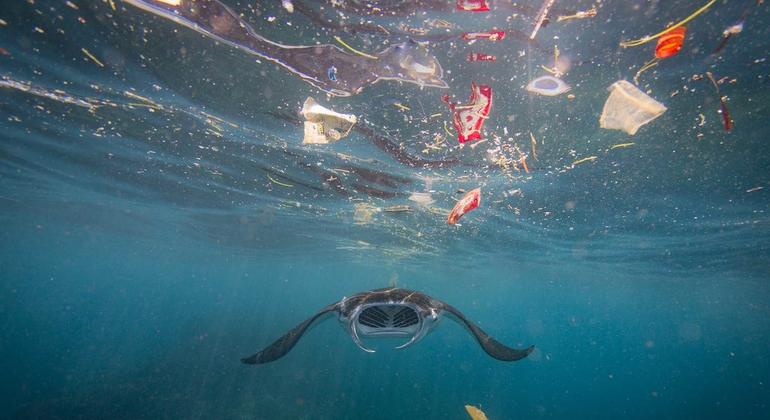 Guterres Diz Em Conferênia Internacional Que Oceanos Estão Senso “Saqueados”