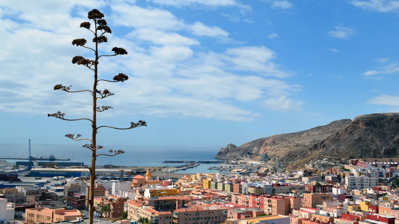 Homicídio de Mulher suspende comemoraça do dia do orgulho em almería