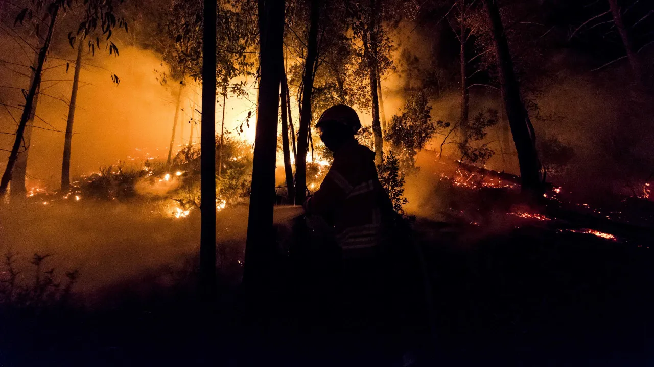 Incêndios 2017. Fundo Revita Vai Pagar Despesasas em Falta de Três Casas