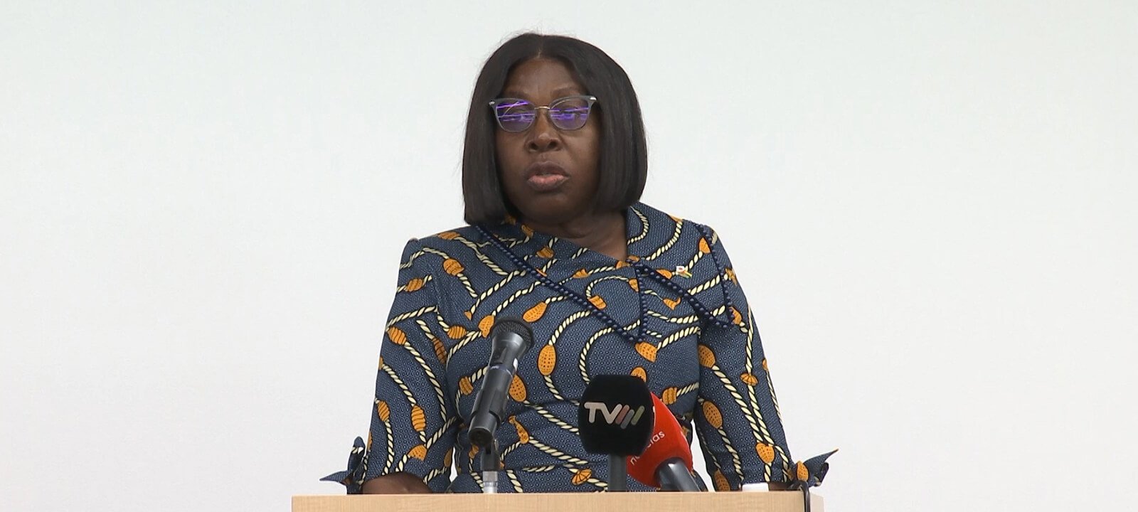 Japoneses demonstram interesse em investir na usina hidroelétrica de Mphanda Nkuwa em Moçambique