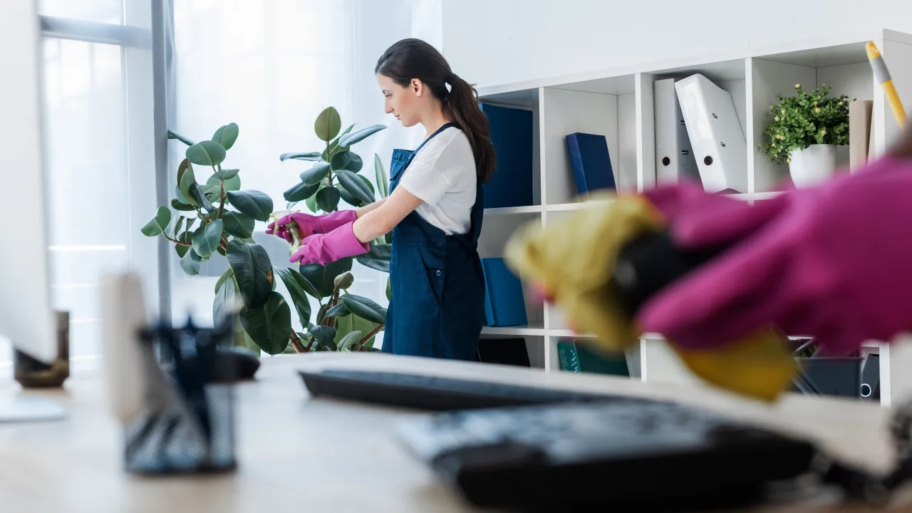 Mulheres lideram profissões de cuidados pessoais, limpeza, saúde e ensino