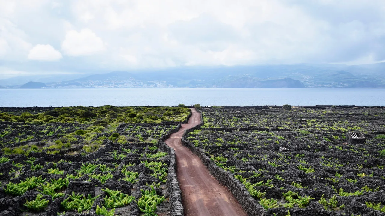 Produção de energia por privados não está regulamentada nos Açores