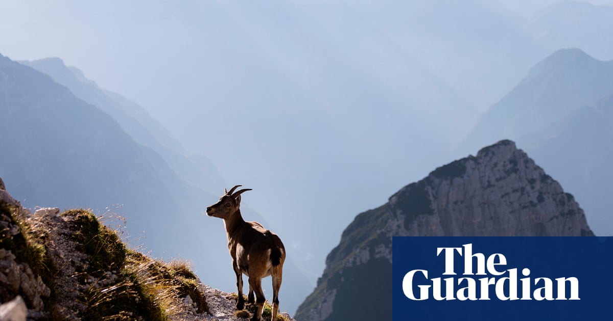 'Se você gosta de aventura, mas não turistas': lugares selvagens favoritos dos leitores na Europa | Férias da Europa