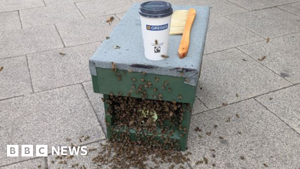 Telford Beekeeper recebe café Greggs Greggs depois de resgatar lojas de rua