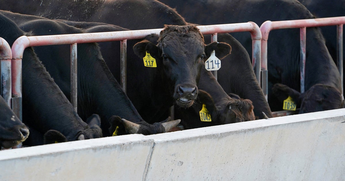 Admin Trump. elogios "Major Trade Breakthrough", pois a Austrália diz que aliviará as restrições de importação de carne bovina nos EUA