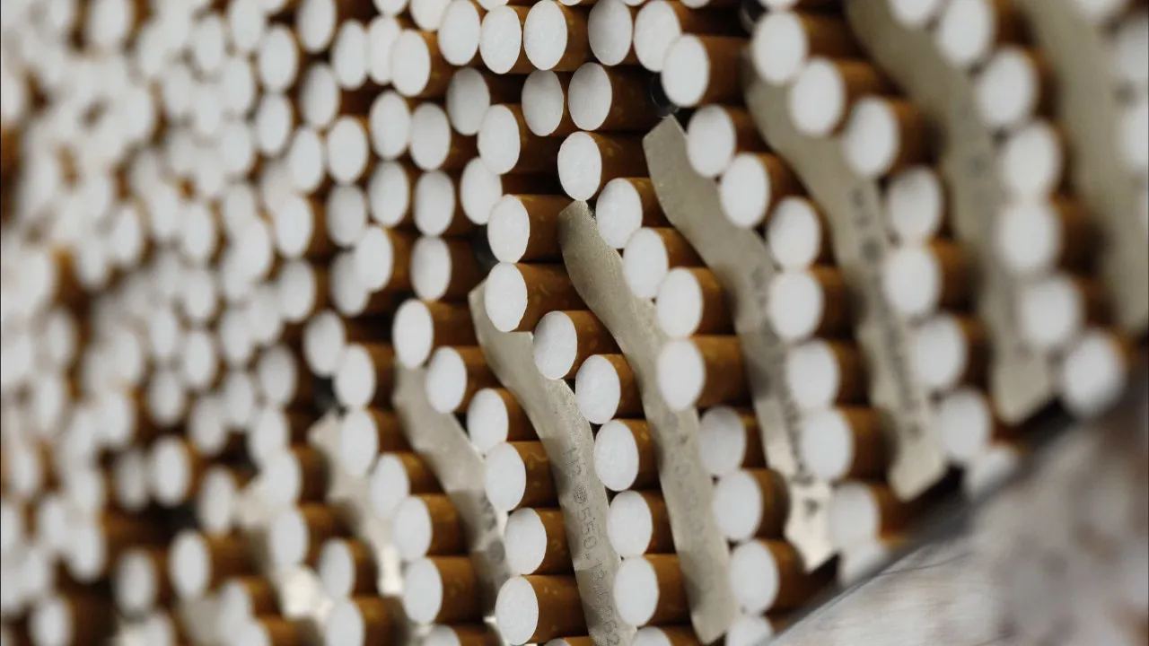 Desmantelada Rede que Se dedicava ao contrabando de tabaco por via Aérea