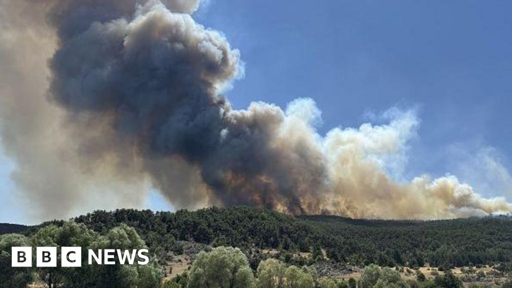 Dez trabalhadores mataram lutando com incêndios na Turquia