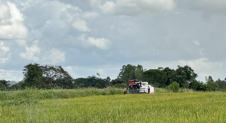 Estudo do Banco Mundial No Brasil Propõe Reduzir Gastos para Investir No Meio ambiente