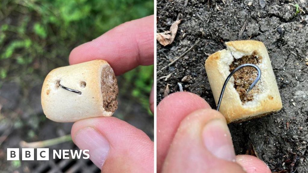 Guloseimas de cachorro atadas com peixes encontrados em bosques