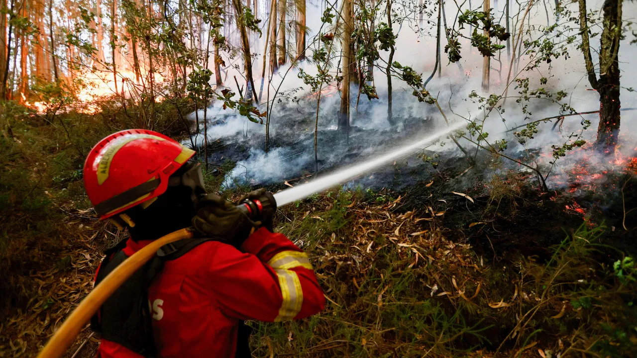 Incêndio em Idanha-A-Nova Mobiliza 8 Meios Aéreos E 150 Operacionais