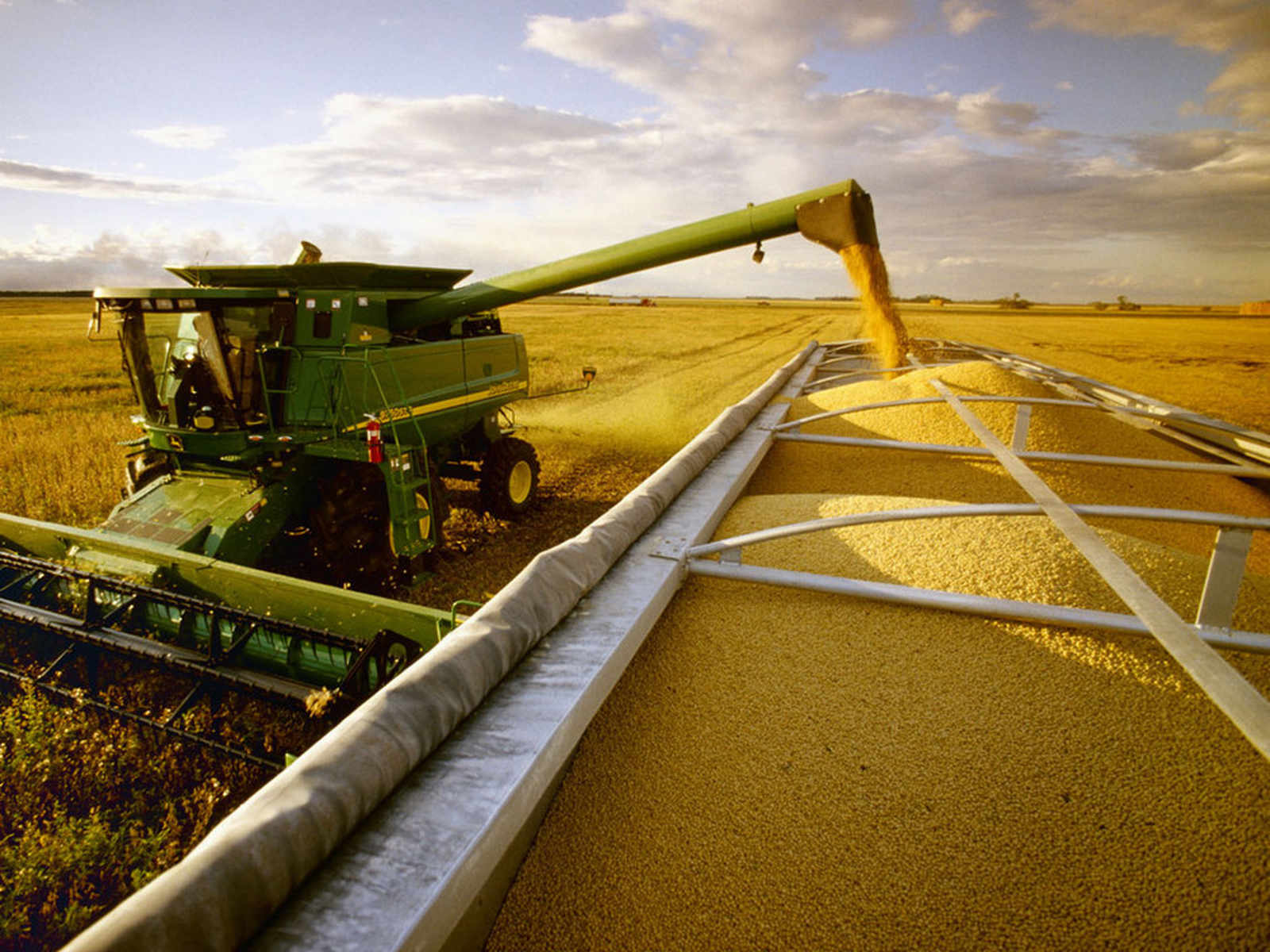 Líderes Reúnem-se em Pré-Conferência de Investidores Com Foco na Cadeia do Arroz • Diário Económico