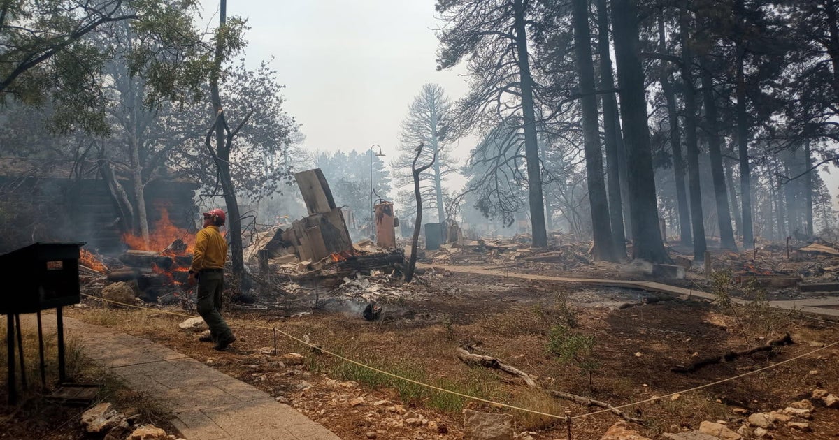 Manipulação de incêndios florestais do Serviço Nacional de Parques que destruíram ...