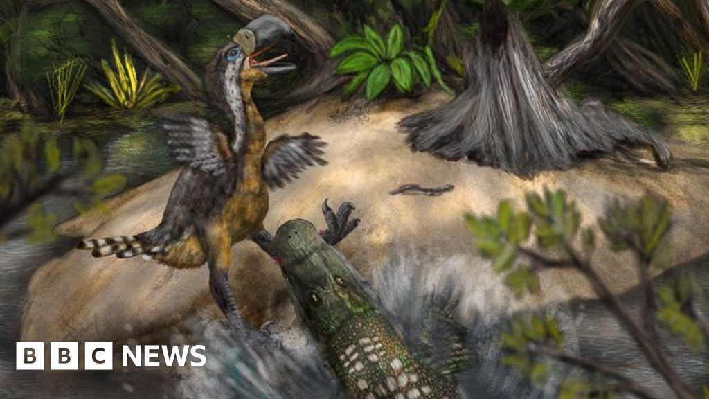 Marcas de dentes sugerem que 'Terror Bird' foi morto por répteis 13 milhões de anos atrás