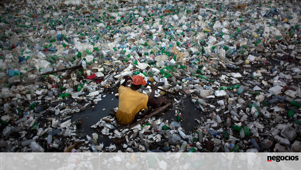 Mundo Acelera no Consumo e Recua Na Circularidade - Sustentabilidade