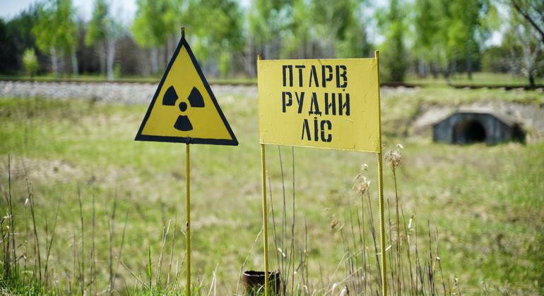 Novo Papel da onu analisará impacto de uma eventual guerra nuclear