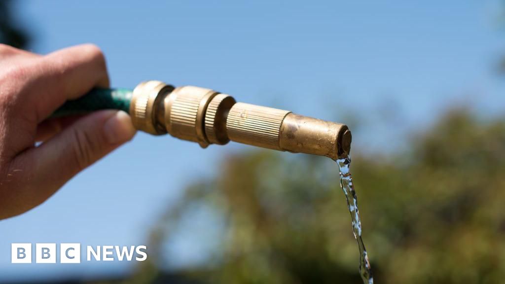 O sudeste de água anuncia a proibição de Hosepipe para Kent e Sussex.