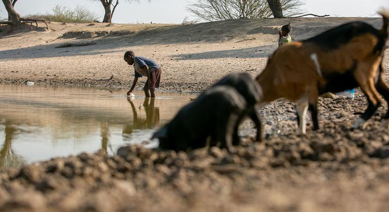 Oms e angola intensificam resposta um surto de cólera na província de huíla