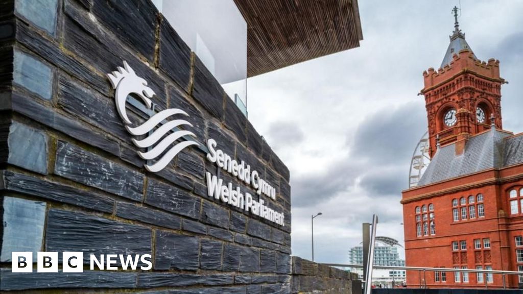 Parentes dos políticos anonimais que trabalham em Senedd, diz o relatório