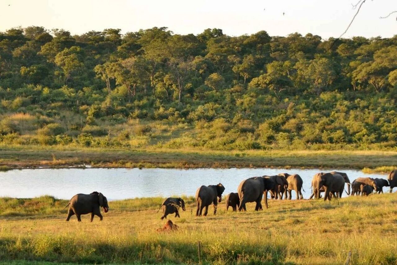 Parque Nacional de Maputo Candidato a Património Mundial da UNESCO • Diário Económico