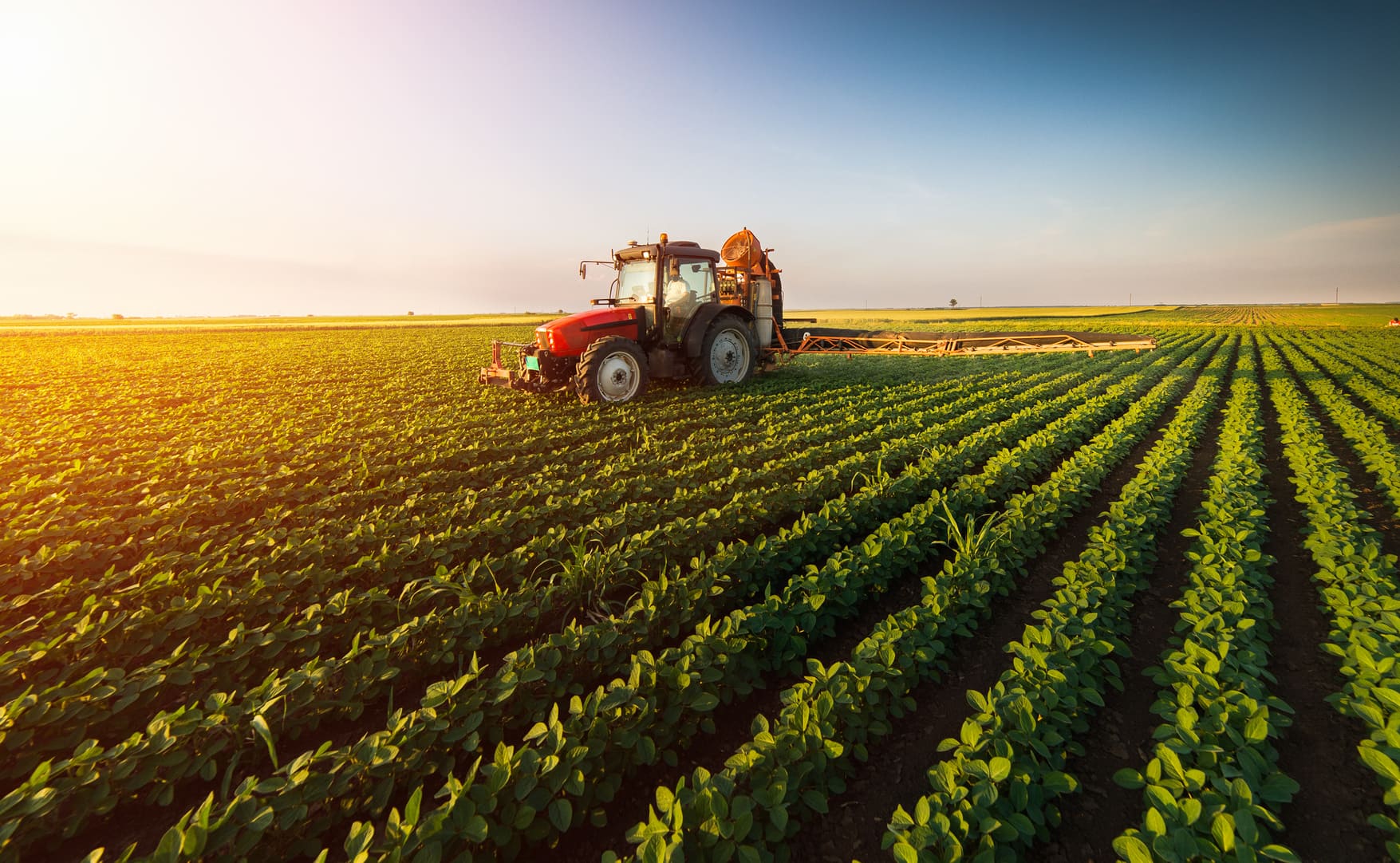 Programa Mangwana Financia Produtores Agrícolas Com 1 M$ • Diário Económico