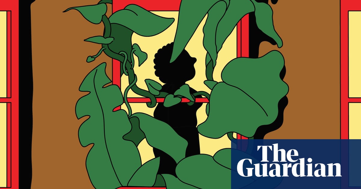 Você é o juiz: meu colega de apartamento deve parar de encher nossa casa com estacas de plantas? | Conselhos de jardinagem